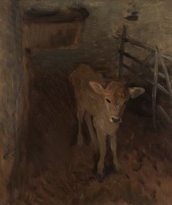 En Jersey-kalv av John Singer Sargent
