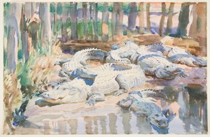 Muddy Alligators, 1917 (wc over grafitt på papir) av John Singer Sargent