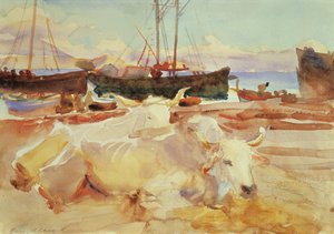 Okser på stranden ved Baia, ca. 1908 (wc på papir) av John Singer Sargent