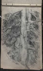 Studie av et tre, 1871-72 (grafitt på mørklagt off-white vevd papir) av John Singer Sargent
