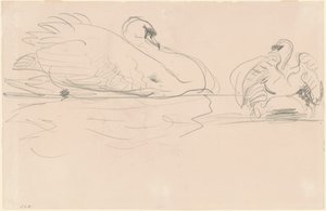 Svaner i vannet, 1880-1900. av John Singer Sargent