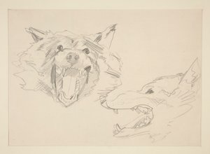 Două vederi ale unui Wolfnorwegian av John Singer Sargent