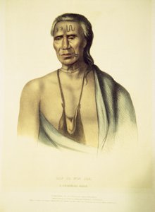 Portrett av Lap-pa-win-soe, 1837 (håndfarget litho)