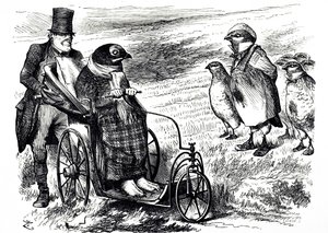 En tegneserie som kommenterer suspensjonen av Grouse Shooting for å la bestanden gjenoppbygges. Illustrert av John Tenniel (1820-1914), en engelsk illustratør, grafisk humorist og politisk tegneserieskaper av John Tenniel