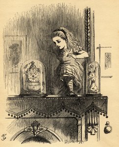 Alice in the Looking Glass House, illustrasjon fra 