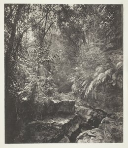  av John Thomson