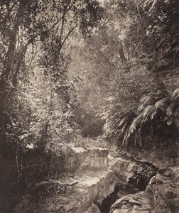  av John Thomson