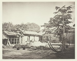  av John Thomson