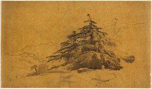 Studie von Bäumen in einer Landschaft av John Varley