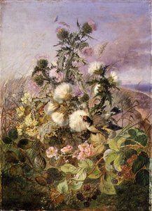 En gullfink og en sommerfugl blant tistler og bjørnebærblomster