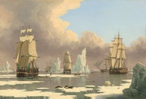 The Northern Whale Fishery: "Svanen" og "Isabella"