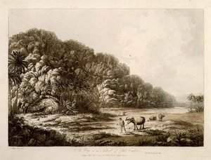 A View in the Island of Pulo Condor, fra "Views in the South Seas", pub. 1792 (radering) av John Webber