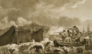 Sea Horses, figurer av J. Heath, gravert av E. Scott plate 52 fra 