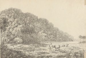 Utsikt på øya Pulo Condore av John Webber