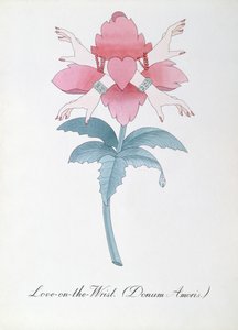 Love-on-the-Wrist (Donum Amoris.) illustrasjon fra 'The Bogus Book of Botany' av John Weir