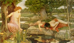 'Echo and Narcissus', 1903, c1915. av John William Waterhouse