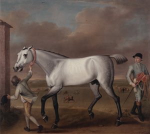 Hertugen av Hamiltons grå veddeløpshest, «Victorious», på Newmarket av John Wootton