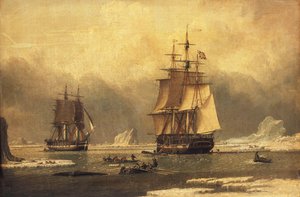 "Svanen" og "Isabella" hvalfangsten i Arktis, av John of Hull Ward
