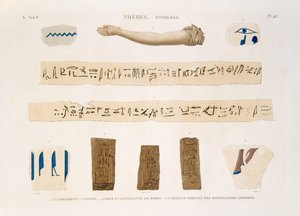 Illustrasjoner av hieroglyfer og armen til en mumie fra Hypogees, Theben, plate 48 fra Vol II av `Descriptions of Egypt`, gravert av Charles, 1822 (akvatint) av Jomard