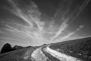 Goodwood Estate i West Sussex, Storbritannia, 2019 (bilde) av Jon Nicholson