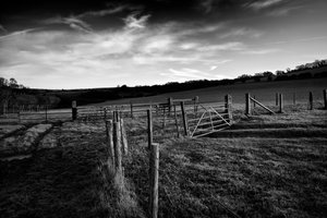 Goodwood Estate i West Sussex, Storbritannia, 2019 (bilde)