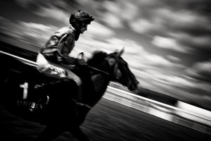 Goodwood Estate i West Sussex, Storbritannia, 2020 (bilde)