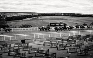 Goodwood Estate i West Sussex, Storbritannia, 2020 (bilde)