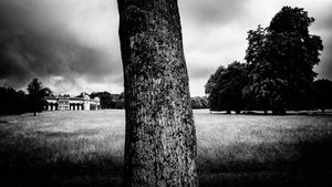Goodwood Estate i West Sussex, Storbritannia, 2020 (bilde)