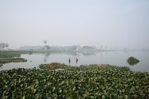 Våtmarksfiske i Kolkata, 2016 (bilde)