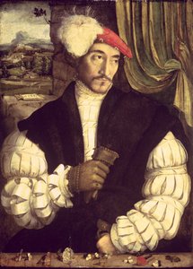 Portrett av en mann, 1533 av Jorg I Breu