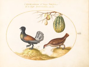 Tallerken 12: Rypepar med melon og pærer av Joris Hoefnagel
