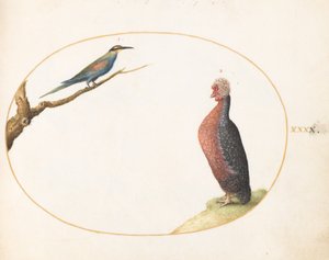 Tallerken 40: Europeisk bieter og eksotisk kylling av Joris Hoefnagel