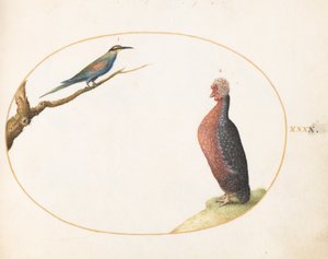  av Joris Hoefnagel