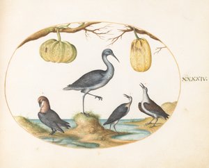 Tallerken 44: Gruv(?) og sandpiper med to kalebasser av Joris Hoefnagel