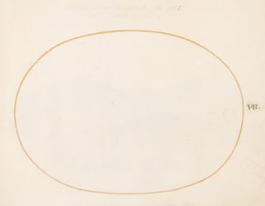 Plate 7: Tom oval av Joris Hoefnagel