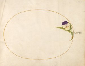 Tallerken 80: Lilla og gul bratsj av Joris Hoefnagel
