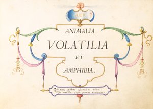 Tittelside av Joris Hoefnagel