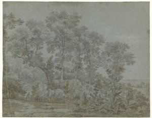 Wildbaan nær Arnhem