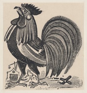 En hane, ca. 1880-1910., ca. 1880-1910.