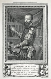  av Jose Maea