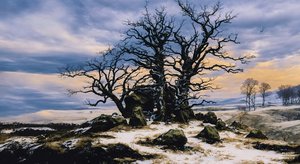 JJM gjenskaper Friedrich-CD: Megalith Grab im Winter (Panorama)