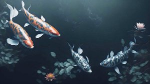 blekkmaleri: Koi-Karpfisk_rød+hvit_01