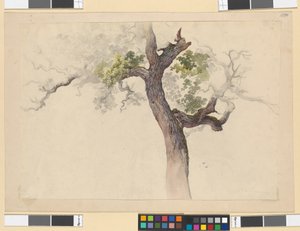 Trestudie av Josef Kriehuber