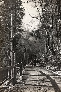 Album "Min verdenskrig - minner fra den sørvestlige fronten i Kärnten, Italia, Trentino-Alto Adige) 31/03/1915-12/11/ 1918 - Josef Zohles Vienna ": soldater på jobb (s/hv-foto