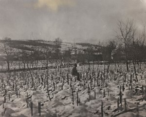 Album "Min verdenskrig - minner fra den sørvestlige fronten i Kärnten, Italia, Trentino-Alto Adige) 31/03/1915-12/11/ 1918 - Josef Zohles Wien ": militærkirkegård (s/hv-bilde) av Josef Zohles
