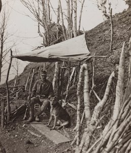 Album "Min verdenskrig - minner fra den sørvestlige fronten i Kärnten, Italia, Trentino-Alto Adige) 31/03/1915-12/11/ 1918 - Josef Zohles Vienna ": militærhund under et telt ( av Josef Zohles