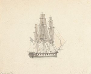 Enkel Hermafroditt Brig