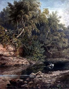 Woodland Scene, med en forskrekket hegre