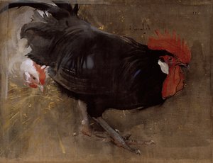 The Black Cock (gouache på lin)