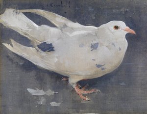 The Pigeon (gouache på lin) av Joseph Crawhall
